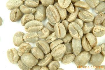 非洲咖啡生豆刚果基伍4/Kivu4咖啡豆信息