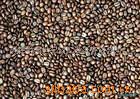 进口高品质咖啡豆(图)信息