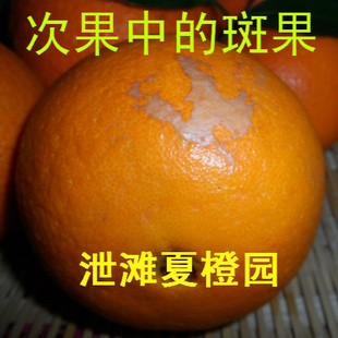 赣南脐橙次果夏橙应季新鲜水果甜橙子榨汁最佳500g信息