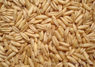 五谷香低温烘焙熟燕麦3.5KG/包现磨豆浆原料磨粉专用信息