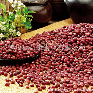 批发红小豆五谷杂粮伊川特产有机优质红小豆信息