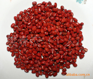 黑龙江产红小豆农安红粒大适出口支持混批东北红小豆信息