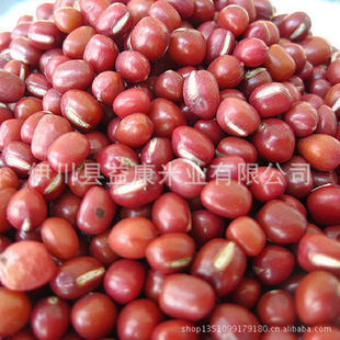 红小豆伊川特产有机优质红小豆批发五谷杂粮信息