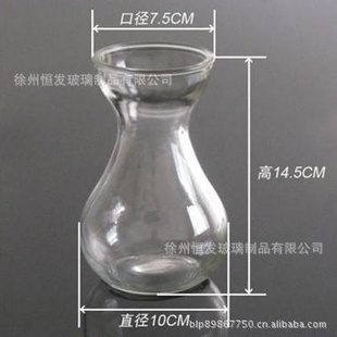花瓶玻璃花瓶风信子专用水培玻璃瓶适合各种球根花卉水培花瓶信息