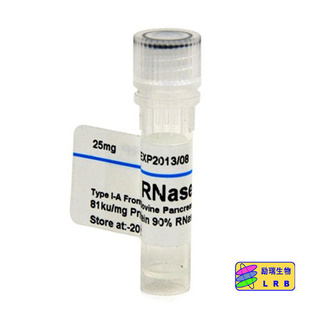 核糖核酸酶A（RNAA）Amresco[分]067525mg信息