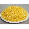 供应罐装甜玉米- A10