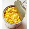 印尼供应玉米罐头