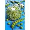 供应罐装绿豌豆