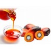 供应棕榈油及其制品