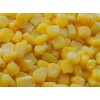 供应黄玉米