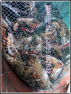 龙虾批发：盱眙龙虾|清水龙虾|淡水龙虾|进口龙虾等水产海鲜信息
