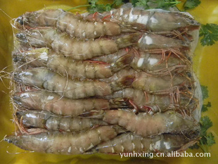 一级高品质的印尼花虎虾信息