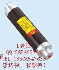 高品质生产XRNT24KV/16A高压限流熔断器信息