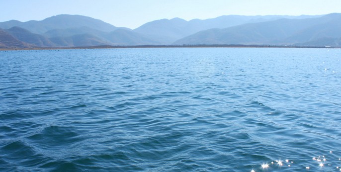 巢湖生态修复成水污染治理受关注信息