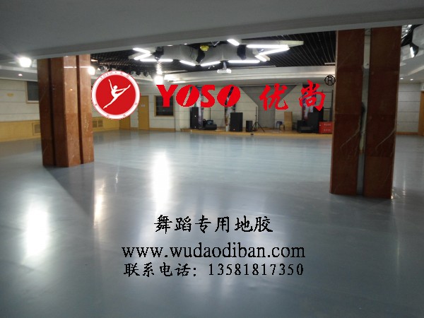 舞蹈地板郑州舞蹈地板舞蹈地板厂家直销塑胶地板大降价信息