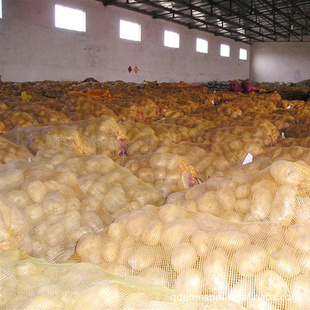 专业厂家优质库存种薯价格合理质量保证【图】信息