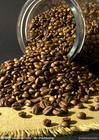 北京咖啡豆批发利尚诚品咖啡豆供应商公司信息