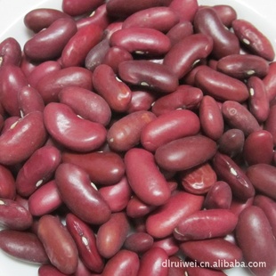 厂家直销英国红芸豆大量优质红芸豆（英国红）品质保证信息