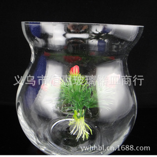 厂家批发土培水培瓶子水养植物花器水生花卉盆栽容器透明玻璃鱼缸信息