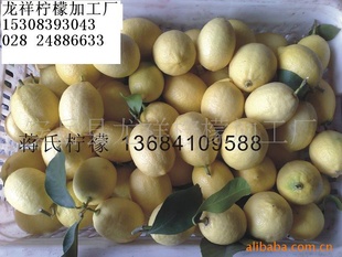 龙祥柠檬干四川优质柠檬基地柠檬之乡中国柠檬之乡信息