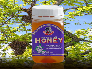 澳大利亚进口Superbee澳洲塔斯马尼亚灌木蜂蜜WINFUL进出口公司信息
