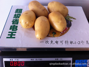 新鲜蔬菜保鲜土豆原生态土豆优质马铃薯信息