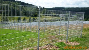 现货提供护栏网镀锌护栏网养鸡场围栏网牧场围栏网信息