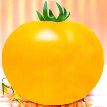 彩包优质蔬菜种子水果种子【甜橙番茄】家庭种植实用装约20粒信息