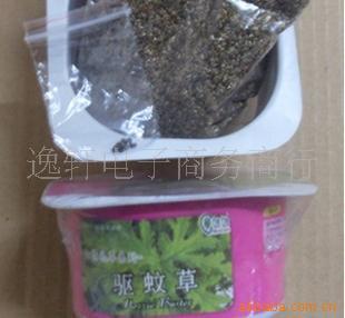 盆式精装驱蚊草(绿色环保蚊虫克星)信息