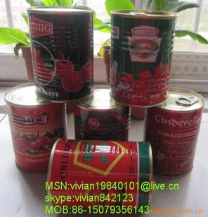 番茄酱罐头400G热销中非洲，中东市场信息