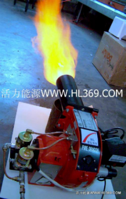 甲醇燃料锅炉节能汽化燃烧器，甲醇炉具信息