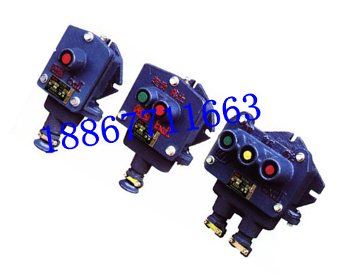 隔爆型控制按钮BZA10-5/36-1-2-3矿用三联按钮信息