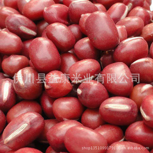 优质红小豆五谷杂粮伊川特产有机红小豆批发信息