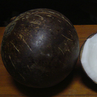 海南椰子王周长>=36cm单重约1公斤适合吃椰子肉又叫椰王椰子批信息