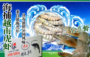 特价越南虎虾信息