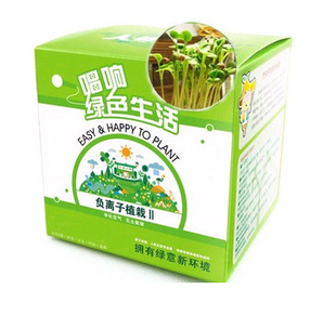 陶碳球负离子植栽Ⅱ/迷你植物信息