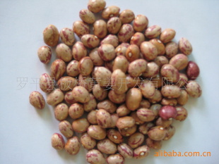 奶花豆；云南特产出口豆类信息