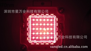 50WLED灯珠LED集成红光灯珠采用正品光晶圆芯片封装厂家直销信息