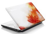 Lenovo/联想S100-NFO(H)N4552G上网本10寸本双核超薄迷你信息