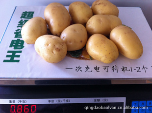 2012年新鲜土豆胶州土豆产地直销保鲜荷兰土豆信息