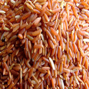 展鹏食品批发优质红米稀有红米补血养生支持混批信息