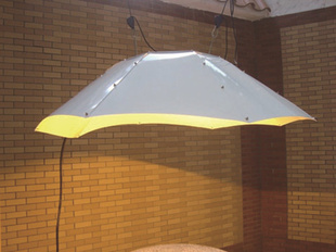 250瓦植物生长灯发苗专用缩短一半时间植物催长灯种植灯育苗信息