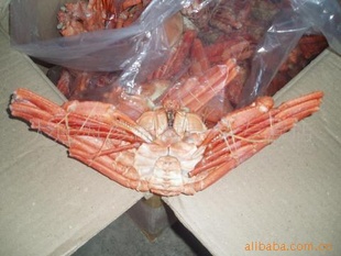 料理用赤贝海胆鳕蟹(图)信息