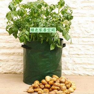 阳台菜园土豆蔬菜种植袋阳台种菜园林资材信息