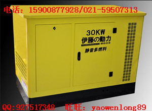 YT30REG、大型液化气发电机组价格信息