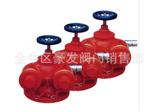 水泵接合器/消防水泵接合器/多用式消防水泵接合器/SQD100-1.6信息