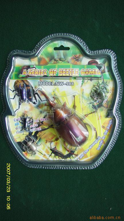 甲虫宠物信息