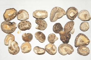 随州香菇干货香菇一级足切茶花菇（2.2-2.8cm)A3香菇批发信息