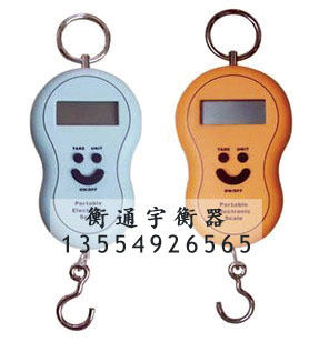手提电子秤便携厨房电子称吊钩秤礼品秤口袋秤佳品40kg/10g信息