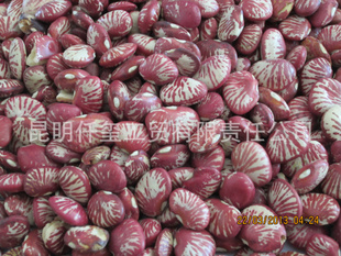 2013年斑马豆信息